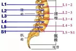 颈椎病的预防和治疗,预防脊椎病这几招就够了
