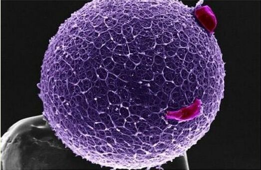 女人排卵时有什么感受,女人排卵的时候会出现哪三种感觉