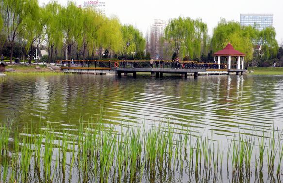 你心目中的长宁是什么样？揭晓未来三年长宁打响上海“四大品牌”大动作