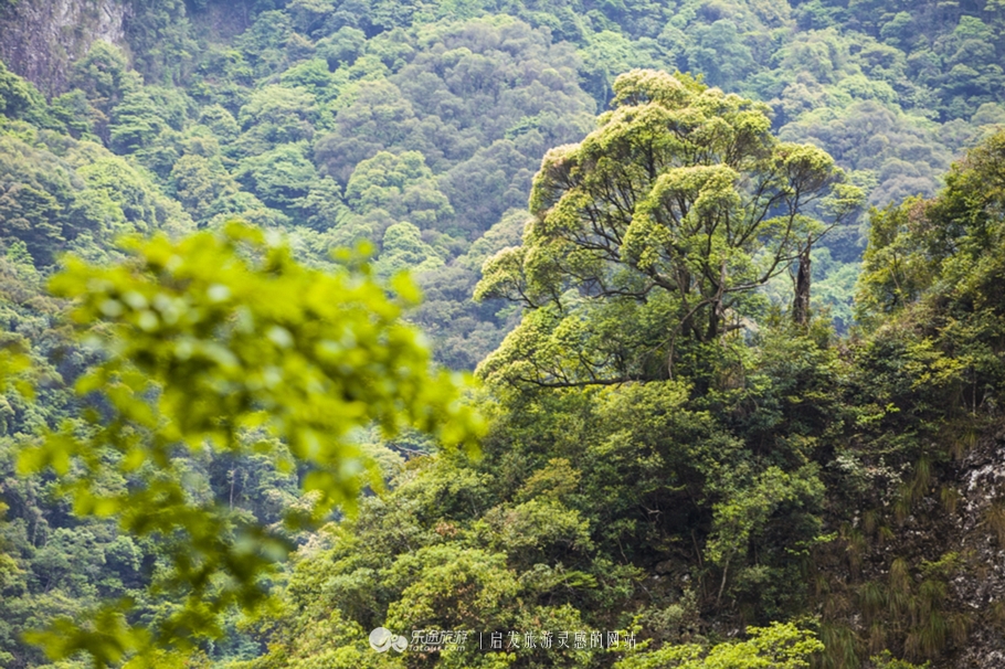 云顶景区瀑布,云顶山峡谷七彩瀑布