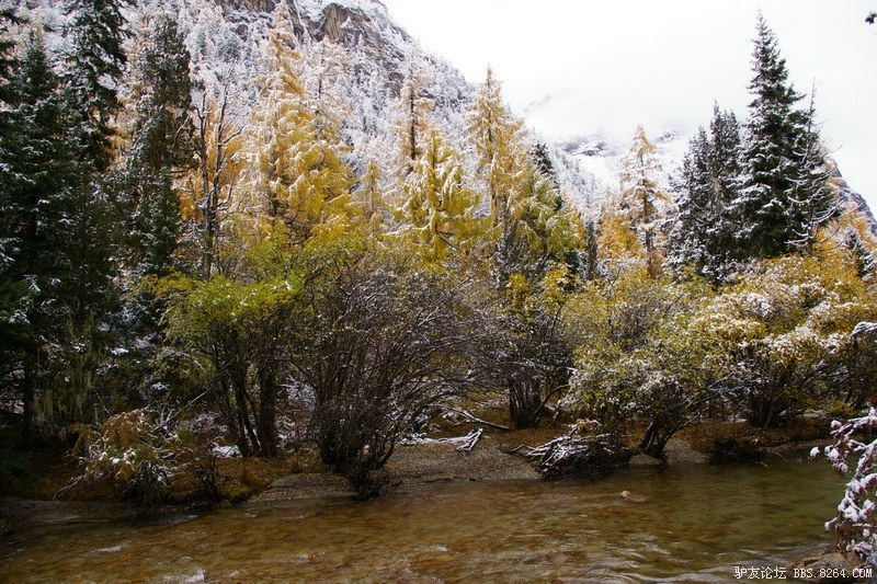 古道，细雨，暮雪-我的长坪沟半截秋色之旅