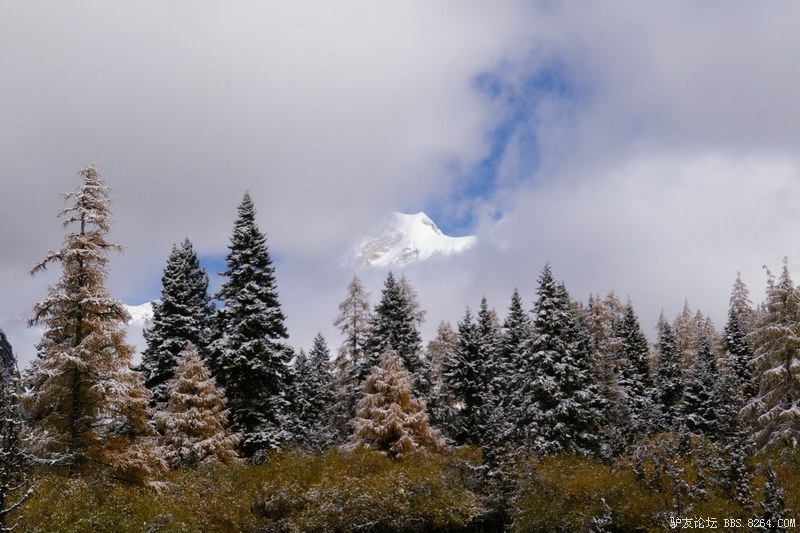 古道，细雨，暮雪-我的长坪沟半截秋色之旅