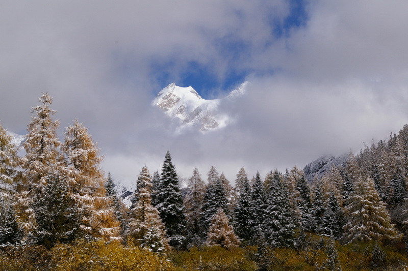 古道，细雨，暮雪-我的长坪沟半截秋色之旅