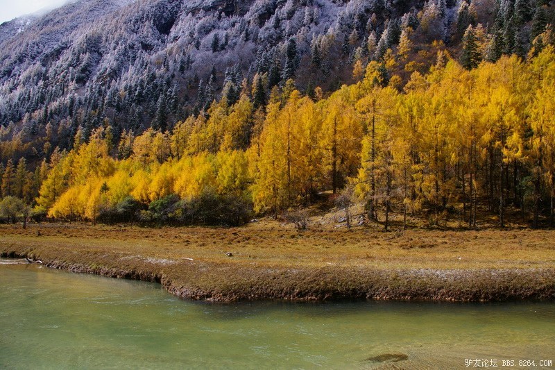 古道，细雨，暮雪-我的长坪沟半截秋色之旅