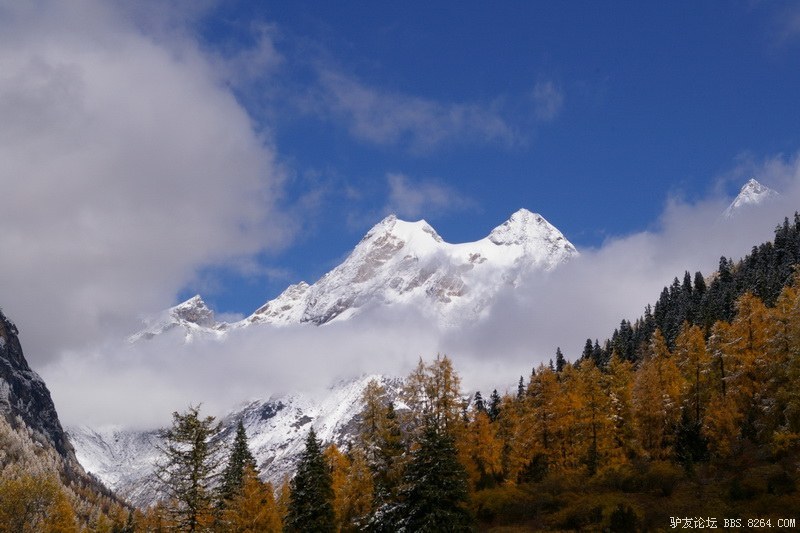 古道，细雨，暮雪-我的长坪沟半截秋色之旅