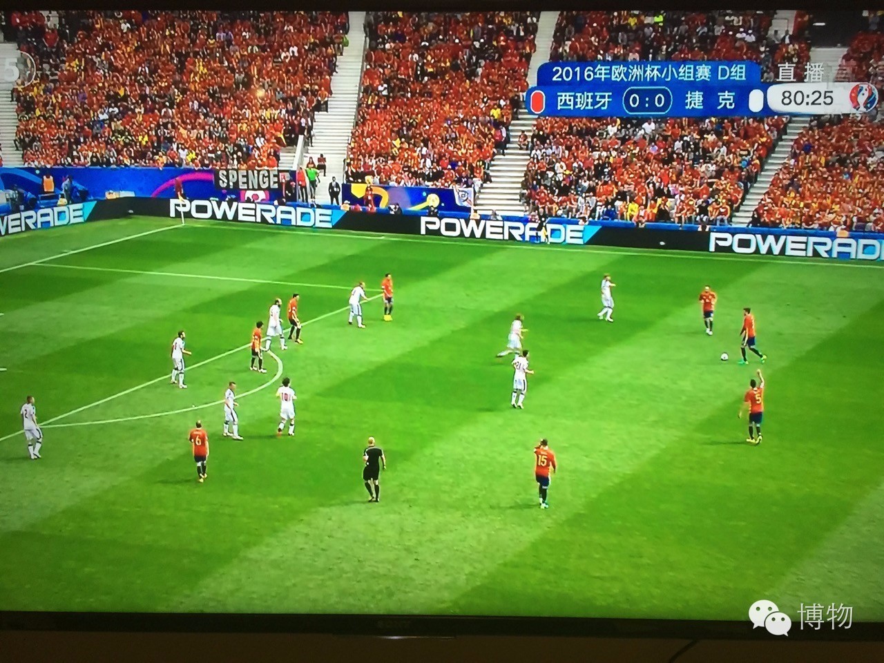 足球场的草坪类型,足球场的草坪为什么这么丝滑