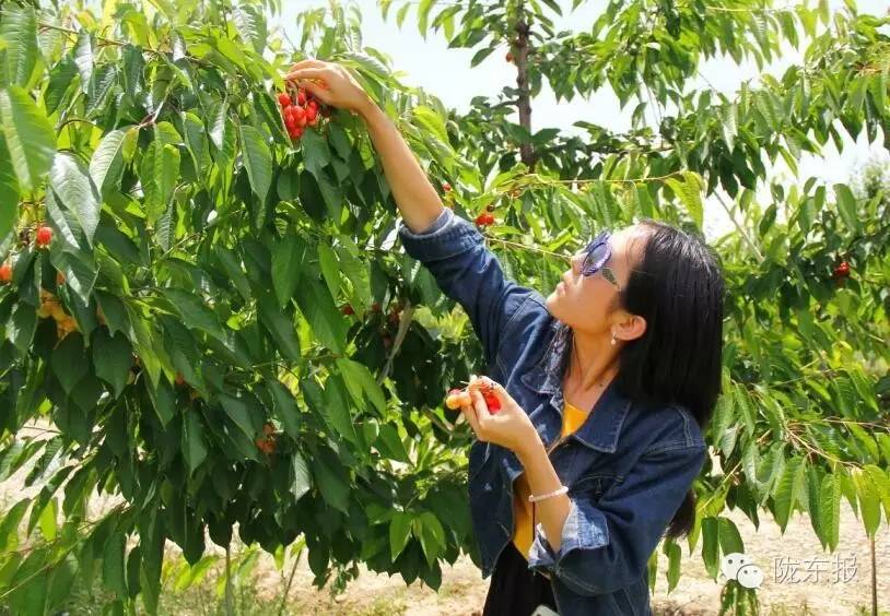 惊呆樱桃红了，美女盛情邀请，你是约呢，约呢，还是约呢！