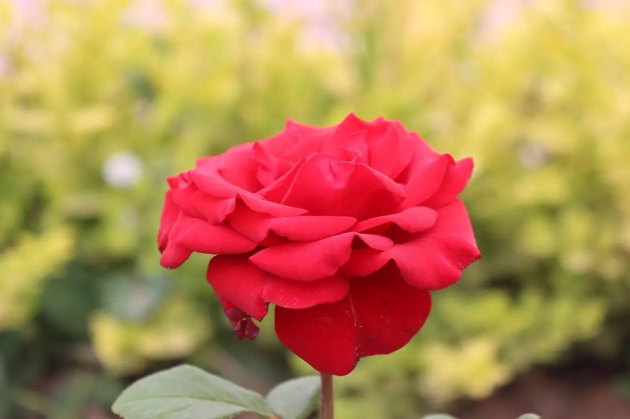 进部队女朋友怎么办,在部队想女朋友怎么发说说