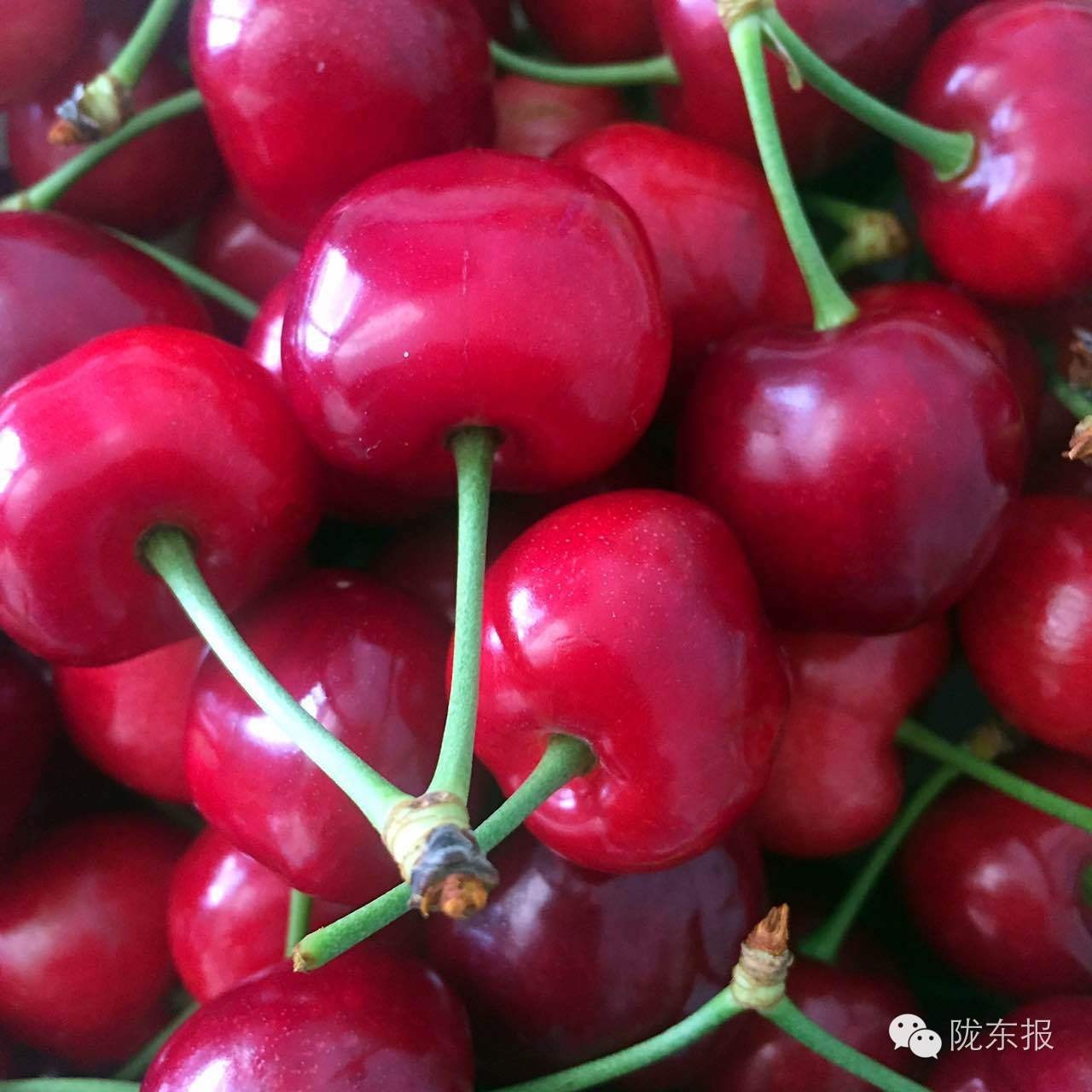 惊呆樱桃红了，美女盛情邀请，你是约呢，约呢，还是约呢！