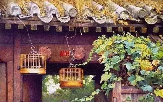 临朐人长相,纯朴的临朐人