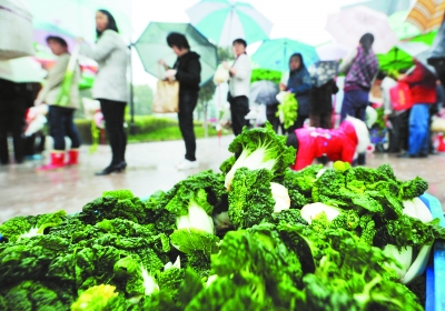 农业创业项目农村致富项目,农村创业致富小项目