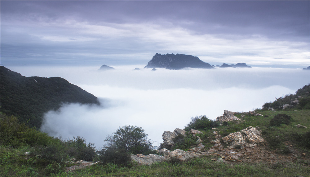80后小伙隐居嵩山最高峰8年，怎么做到的？｜豫记