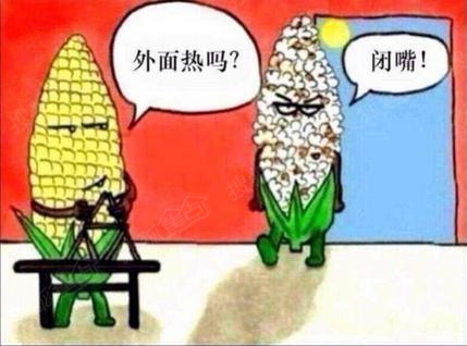 如果全市停电会发生什么,雷雨天气停电了怎么办