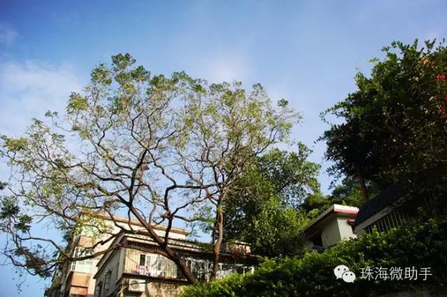 珠海最值得一去的特色街，我只去过5个，你呢？