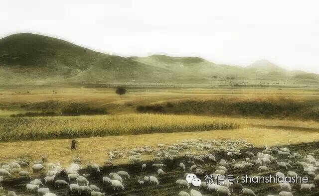 王洛宾在达坂城,达坂城王洛宾公园