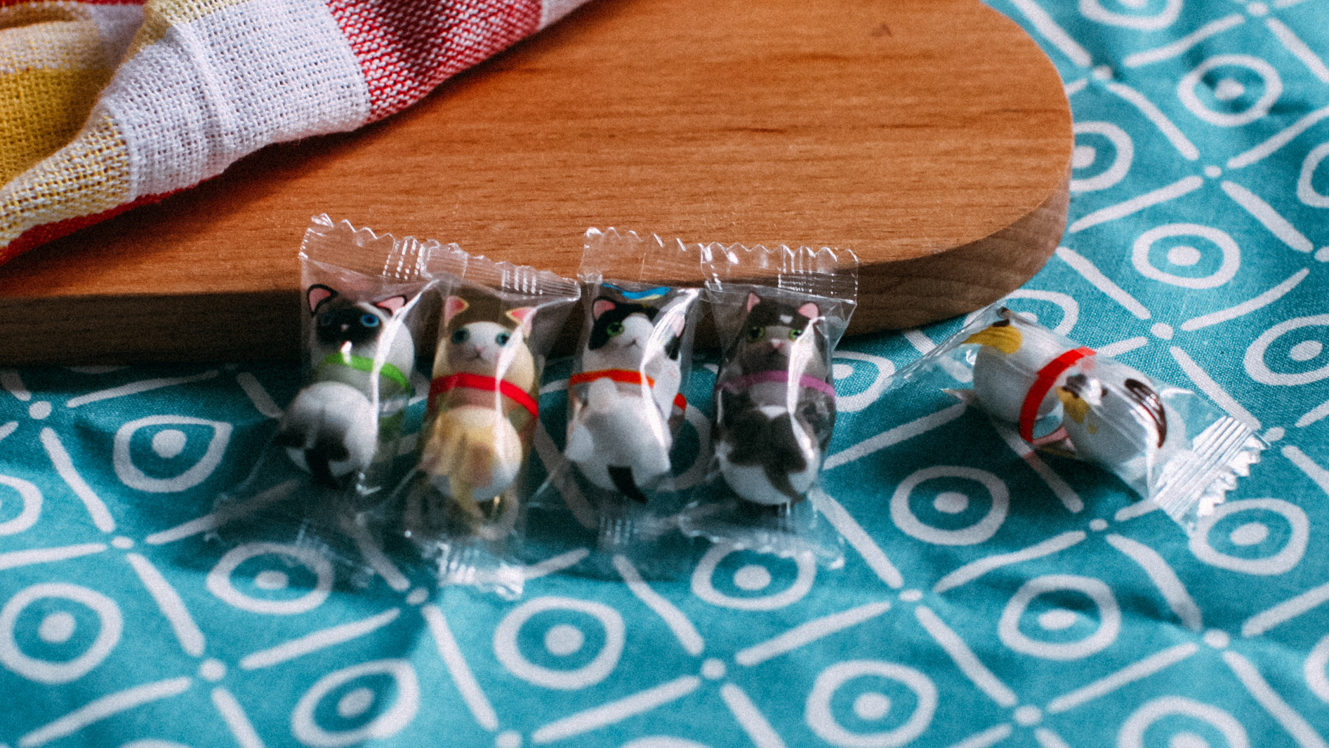 我们居然吃了一座“动物园”！