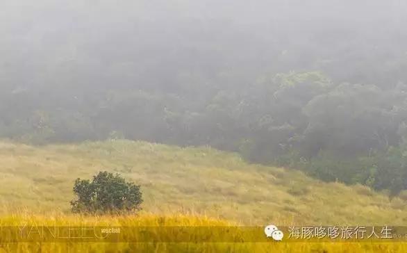 原来星球上还有这样的地方——哆哆的自然地理课！