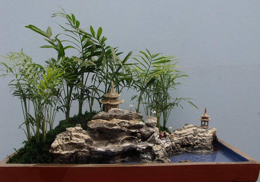 制作微型盆景的方法,新手第一次做微型盆景选什么品种