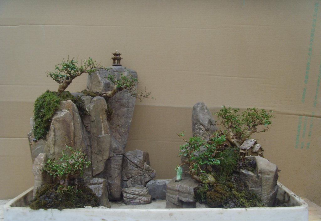 制作微型盆景的方法,新手第一次做微型盆景选什么品种