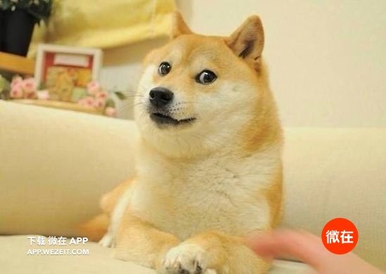 8种夏日避暑神器，再也不用担心热cry了！