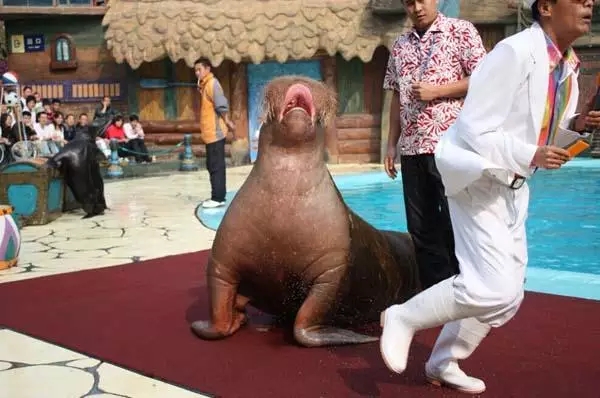 大连这几个富有情调的地方，我好想与你牵手走过