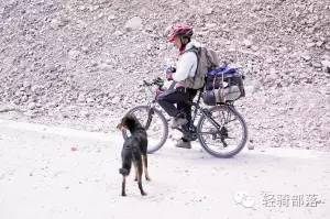 狗肉节引发风波全集,狗肉节引发的风波完整版广东卫视