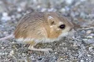 别人眼中的自己国外实验,别人眼中我的生活vs真实我的生活