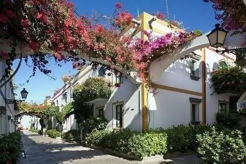 小镇艺术|印象派系的吉维尼，莫奈的“睡莲”花园