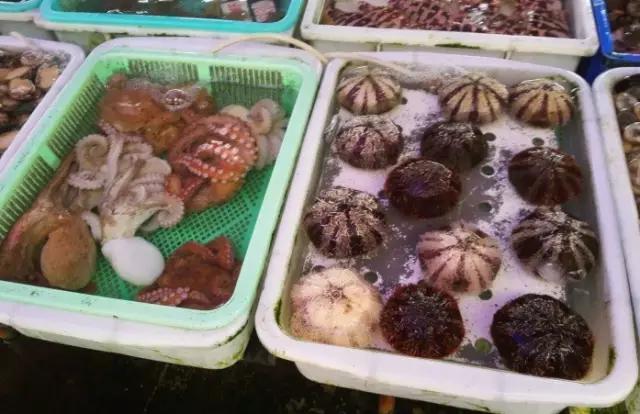 珠海最值得一去的特色街，我只去过5个，你呢？