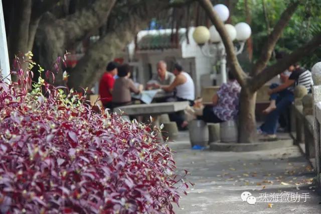 珠海最值得一去的特色街，我只去过5个，你呢？