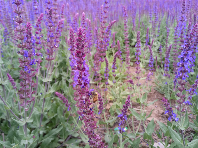 <html>
<head><title>502BadGateway</title></head>
<body>
<center><h1>502BadGateway</h1></center>
<hr><center>nginx</center>
</body>
</html>
<!--apaddingtodisableMSIEandChromefriendlyerrorpage-->
<!--apaddingtodisableMSIEandChromefriendlyerrorpage-->
<!--apaddingtodisableMSIEandChromefriendlyerrorpage-->
<!--apaddingtodisableMSIEandChromefriendlyerrorpage-->
<!--apaddingtodisableMSIEandChromefriendlyerrorpage-->
<!--apaddingtodisableMSIEandChromefriendlyerrorpage-->
