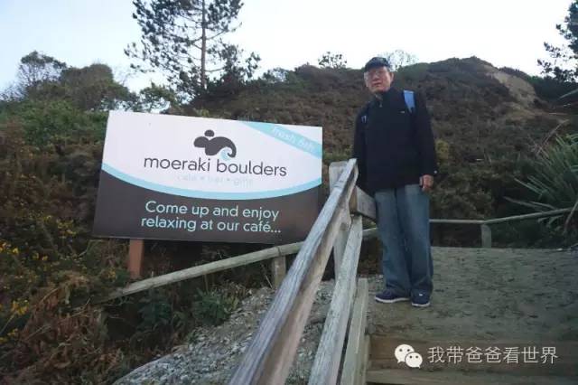 新西兰摩拉基大圆石的形成原因,新西兰圆石图片