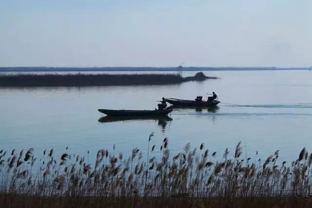 天津房价下跌最快城市名单,天津河东区房价哪个地段最好