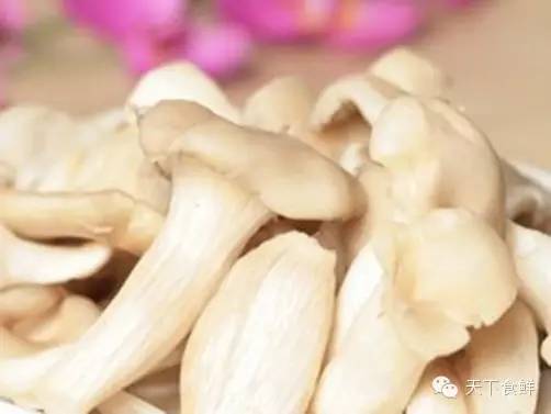 抗生素还是天然的好，你知道的有哪些？