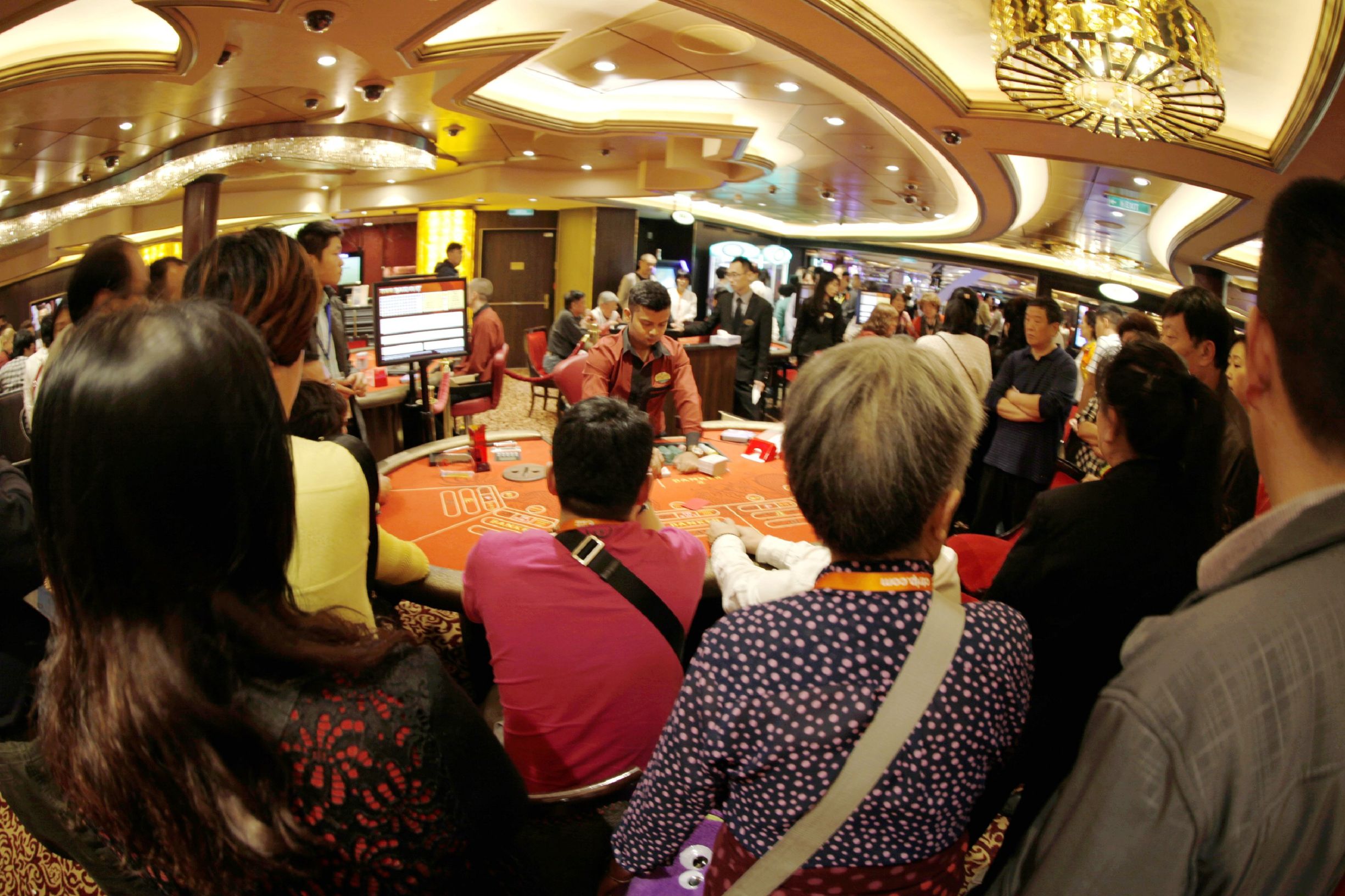 海洋量子号邮轮wifi攻略,海洋量子号游记