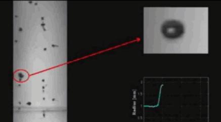 怎么开瓶装可乐不会喷,可乐疯狂摇动怎么能不喷