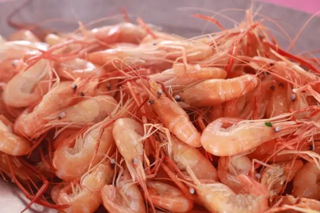 西江明珠石板沙生态岛,江门新会石板沙湿地公园