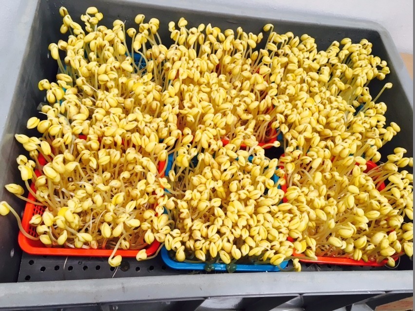 巴南美食打卡地推荐附近,资深吃货才能找到的地方