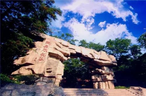 淄博！山东最冤的一个市！