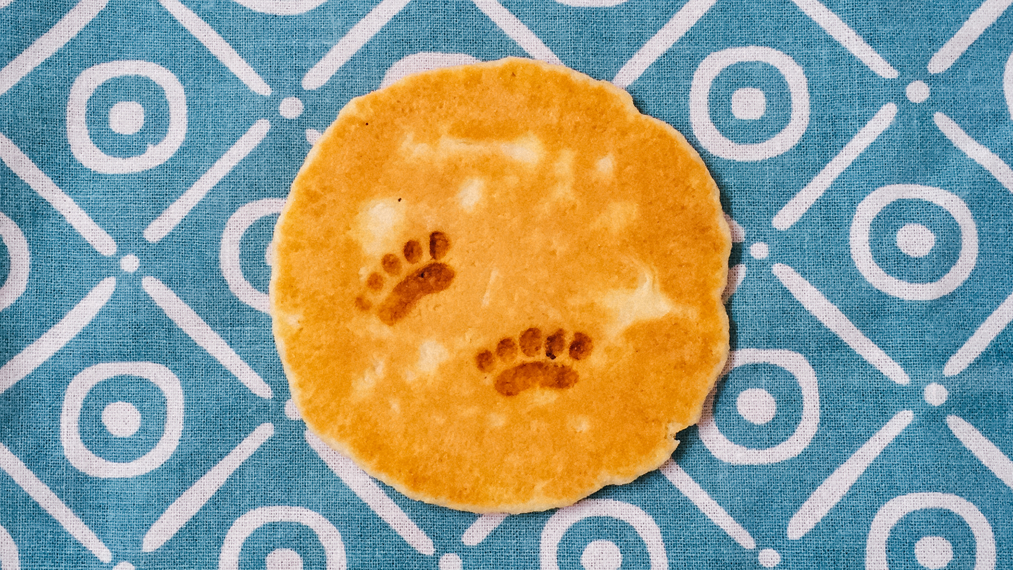 我们居然吃了一座“动物园”！