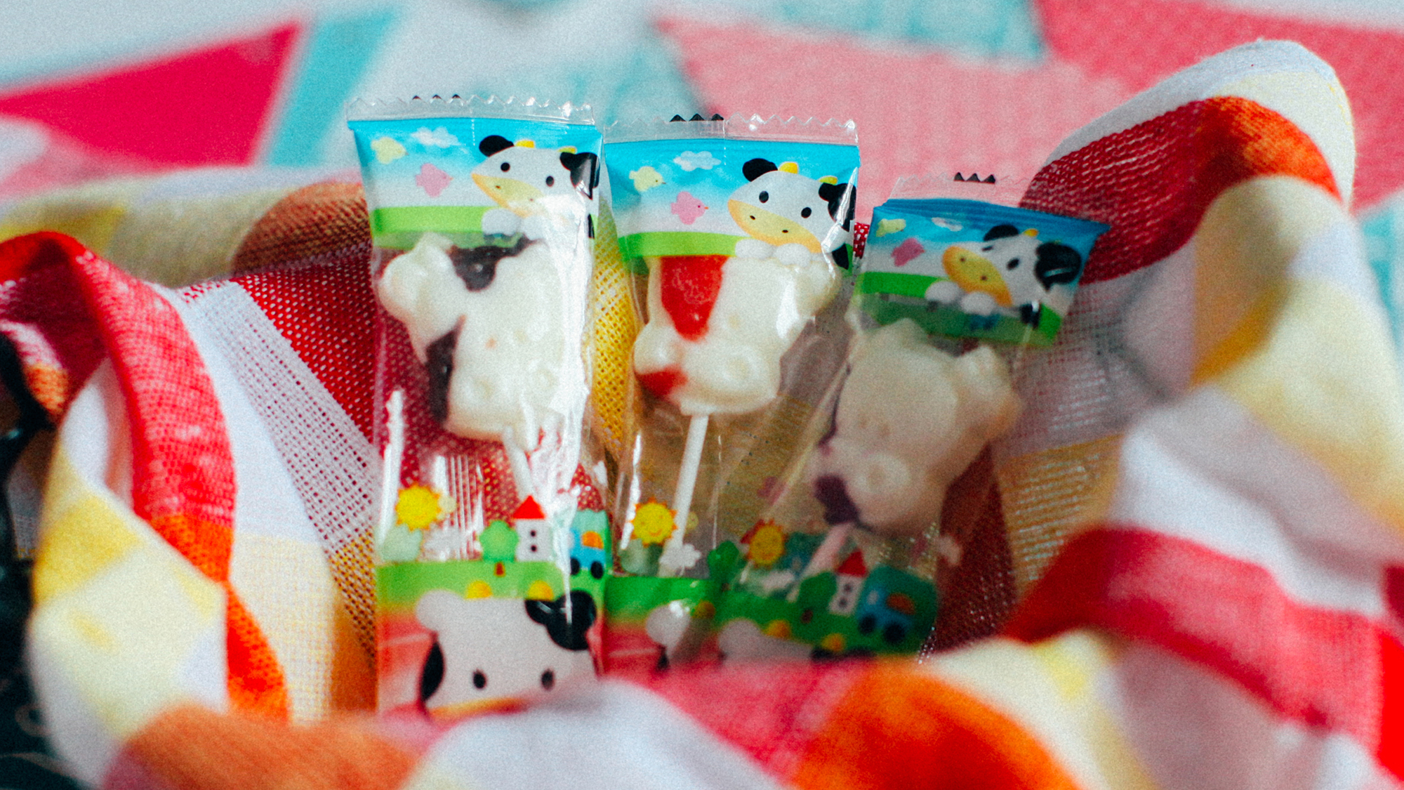 我们居然吃了一座“动物园”！