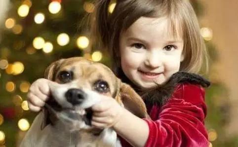 宝宝两岁如何安全度过,孩子可怕的两岁该怎么教育