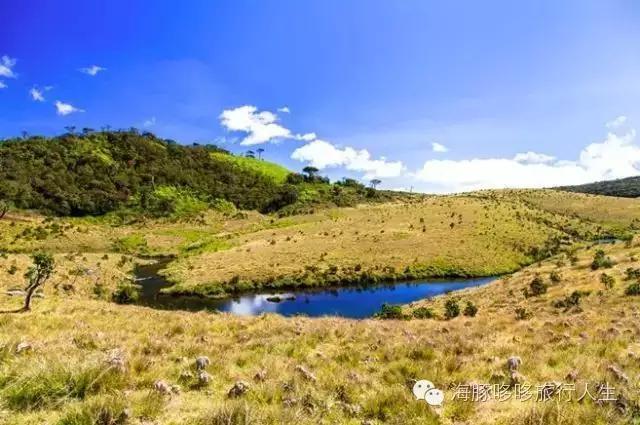 原来星球上还有这样的地方——哆哆的自然地理课！