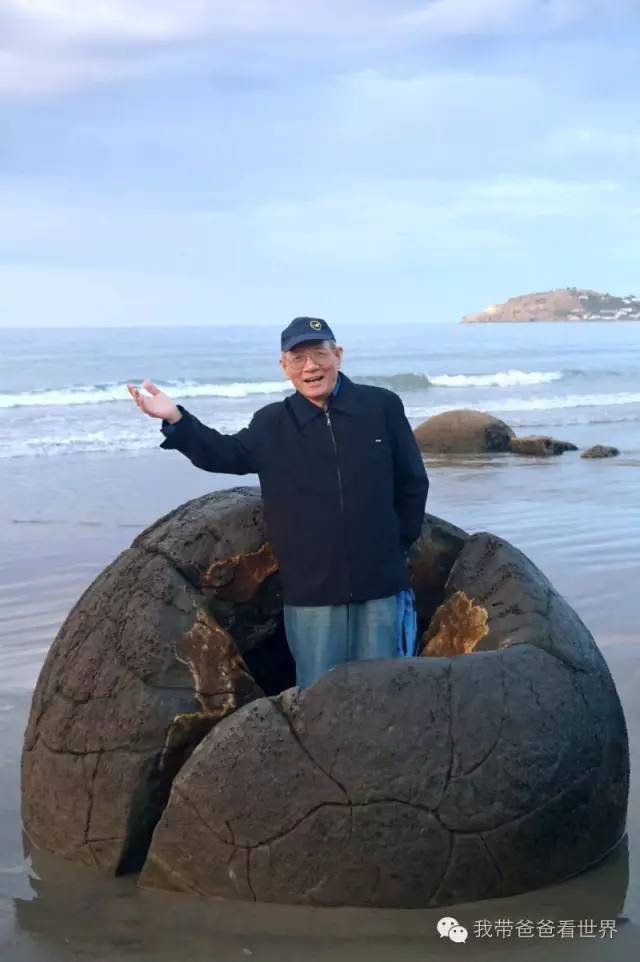 新西兰摩拉基大圆石的形成原因,新西兰圆石图片