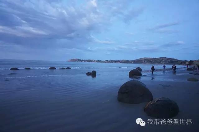 新西兰摩拉基大圆石的形成原因,新西兰圆石图片