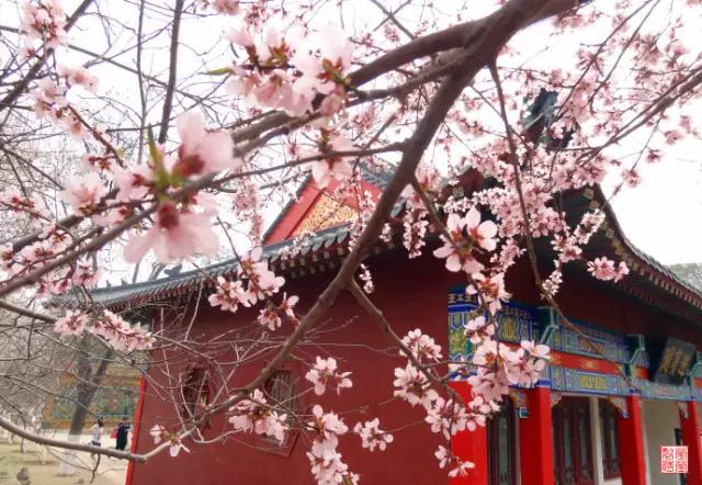 天津房价下跌最快城市名单,天津河东区房价哪个地段最好