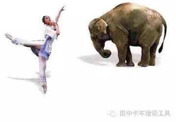 鐢靛柗瀛︿範鐭ヨ瘑,鐢靛柗ECU鐢佃矾璁茶В