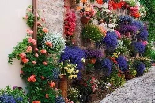 小镇艺术|印象派系的吉维尼，莫奈的“睡莲”花园