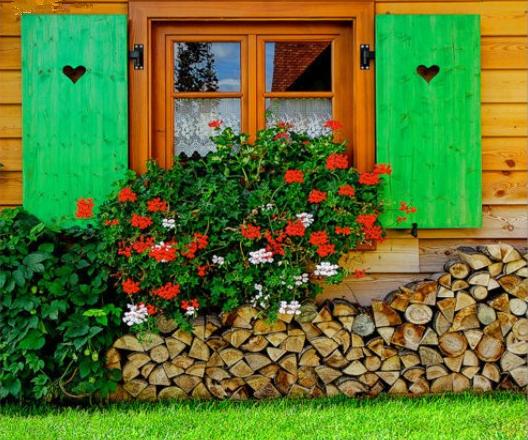 小镇艺术|印象派系的吉维尼，莫奈的“睡莲”花园