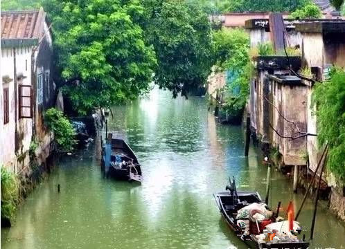 西江明珠石板沙生态岛,江门新会石板沙湿地公园